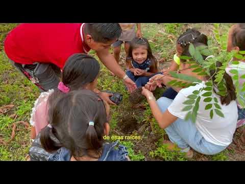 Voces de Vida: Historias de las Defensoras